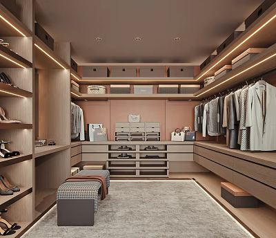 Modern Walk In Closet Interior With Storage Seating And Rug 3d model