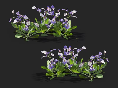 Vibrant Purple And White Flowers With Fresh Green Leaves In Clusters 3d model