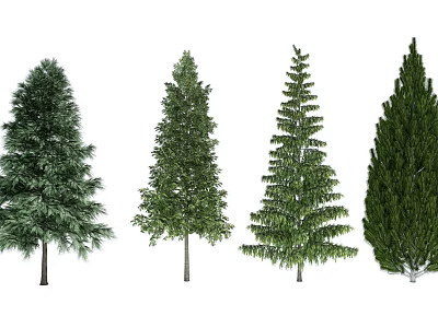 Tree 3d model