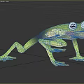 Green Aquatic Frog With Transparent Body And Visible Internal Organs On Grassy Background