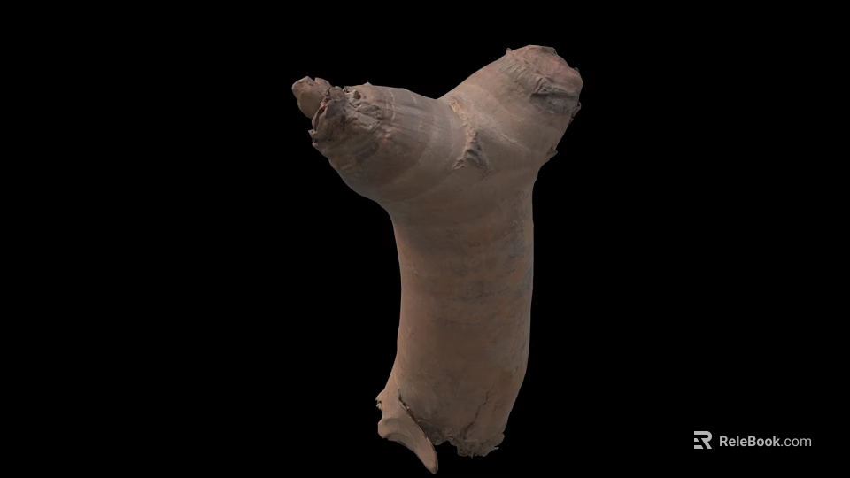 Fresh Ginger Root Crop With Rough Brownish Surface And Irregular Shape 3d model 