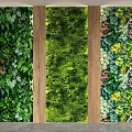 Indoor Decorative Living Plant Wall With Different Greenery And Colorful Flowers