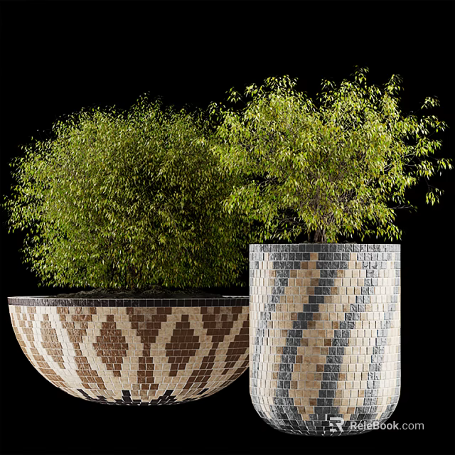 Bonsai Potted Plants with Decorative Geometric and Striped Pattern Planters and Lush Green Foliage 3d model 
