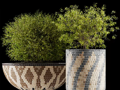 Bonsai Potted Plants with Decorative Geometric and Striped Pattern Planters and Lush Green Foliage 3d model