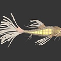 The preparation of fish crafts 3d model