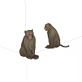 Two Sitting Monkey Sculptures With Realistic Details On White Background 3d model