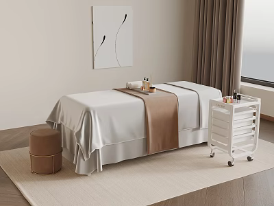 Comfortable Massage Table In Cozy SPA Room With Curtains Rug And Decorative Painting Trolley 3d model