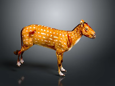 Spotted Deer With Brown Body And White Spots Standing On Dark Background With Reflection 3d model