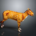 Spotted Deer With Brown Body And White Spots Standing On Dark Background With Reflection
