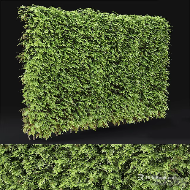 Lush Vibrant Greenery Wall With Dense Foliage On Black Background 3d model 