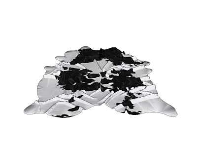 Stylish Modern Abstract Shaped Rug With Black White Irregular Patterns 3d model