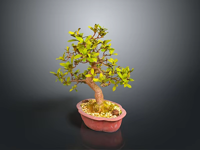 Bonsai Plant With Green Yellow Leaves Brown Trunk In Red Pebble Pot On Gray Background 3d model