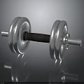 Stainless Steel Dumbbell With Weight Plates And Non Slip Grip For Fitness Training