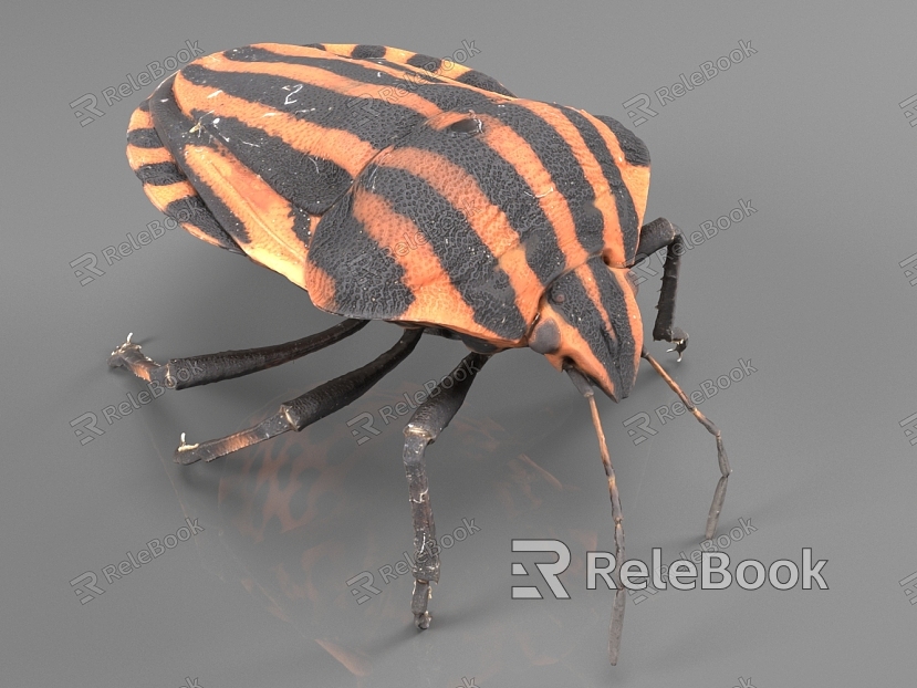 insect reptile beetle worm model