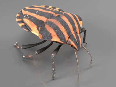 Striped Reptile With Black And Orange Patterns On Gray Background Surface 3d model