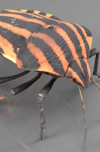 Striped Reptile With Black And Orange Patterns On Gray Background Surface 3d model