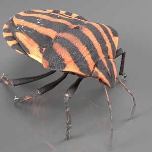 insect reptile beetle worm 3d model