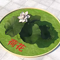 Beautiful White Lotus Flower With Large Green Leaves On Circular Grass Area
