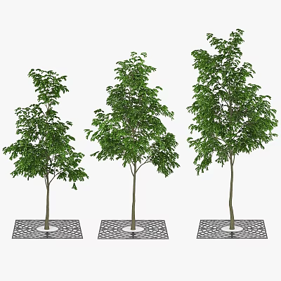 Ornamental Decor Set with Three Trees on Square Bases Featuring Hollow Patterns 3d model