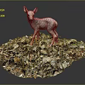 Fawn Standing On A Pile Of Various Colored Leaves In Natural Environment
