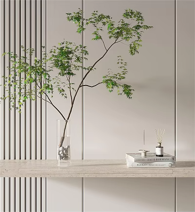 Clear Glass Vase with Green Branches and Stones on Wooden Shelf with Books and Diffuser 3d model