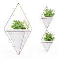 Geometric Hanging Planters With Green Plants Metal Frame And White Pot