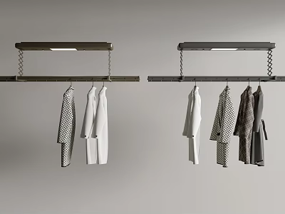 Modern Clothes Rack Design With Hanging Black White And Gray Garments 3d model