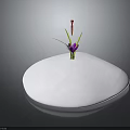 Vibrant Plant With Purple Petals Red Stamens Green Stems On White Rounded Base Dark Background
