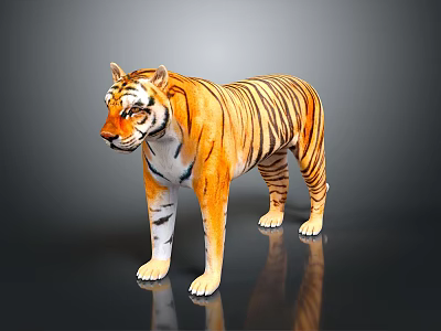 Realistic 3D Model of Orange Black Striped Reptile Standing on Black Surface with Reflection 3d model