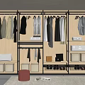 Modern Wooden And Metal Wardrobe Interior Design With Hanging Clothes Storage Boxes And Shoes