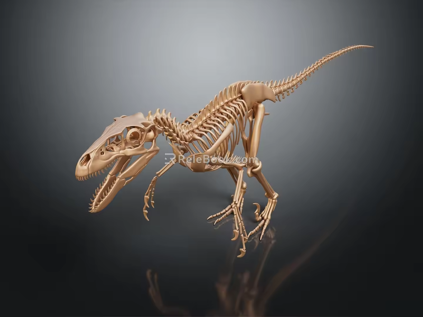 Modern skeleton dinosaur skeleton dinosaur fossil 3d model
