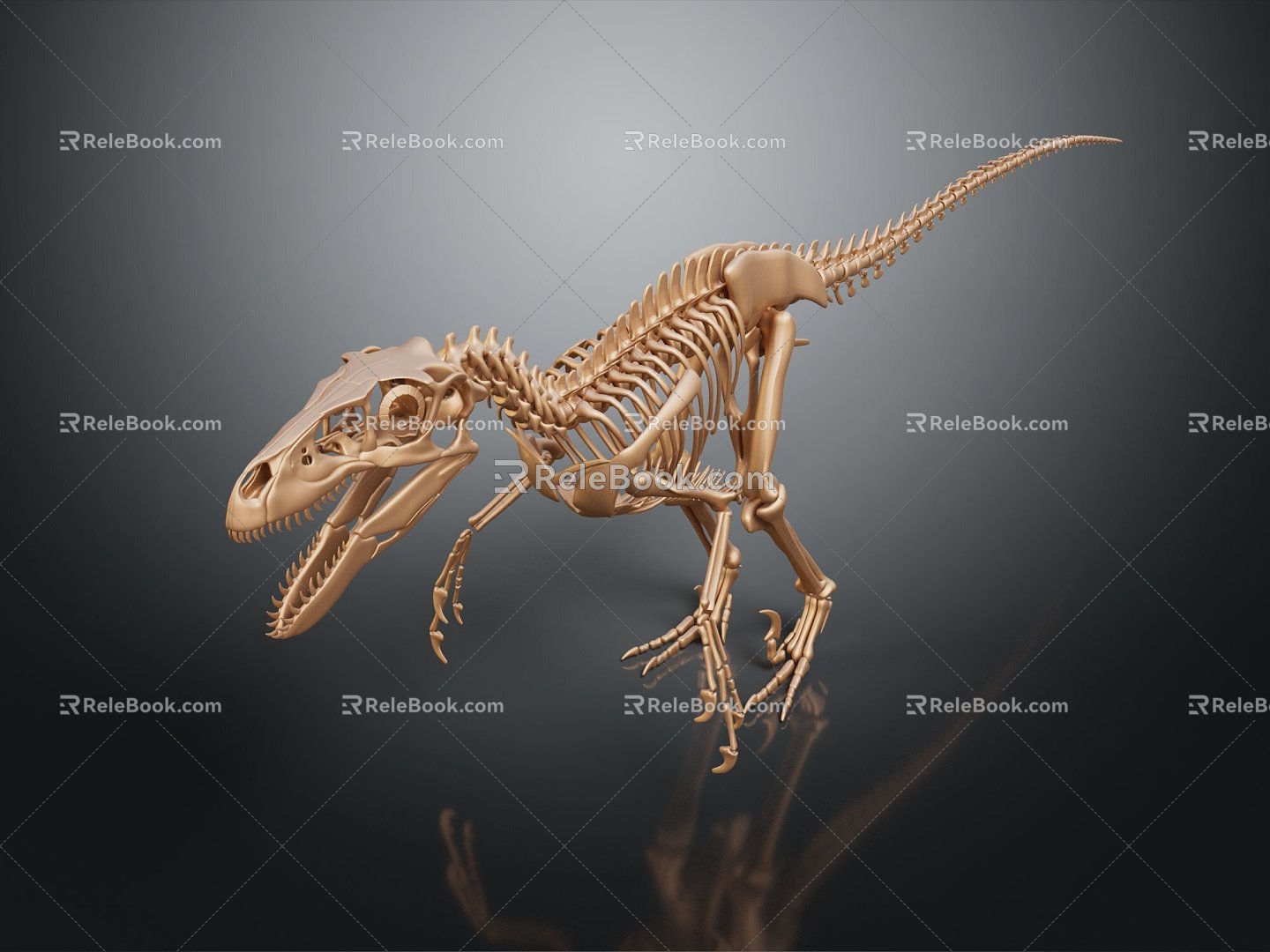 Modern skeleton dinosaur skeleton dinosaur dinosaur fossil 3d model