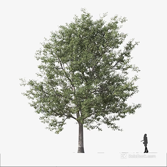 Tall Arbor With Lush Green Foliage And Thick Trunk Near Human Figure 3d model 