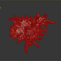 Red And White Spiky Conch Shell On Dark Reflective Background