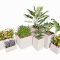 Bonsai and Potted Plants Display With Various Green Plants and Square White Ceramic Pots