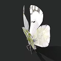 Realistic White Butterfly With Green Patterns On Wings Against Black Background 3d model
