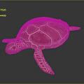 Red Sea Turtle Marine Animal With Detailed Shell Pattern And Webbed Flippers 3d model