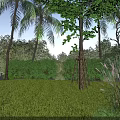 Garden Landscape With Lush Green Grass Tall Trees Palm Trees Bushes And Blue Sky