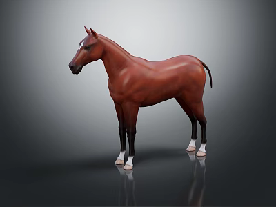 Brown Horse with White Hooves Standing on Smooth Surface Showing Reflection 3d model