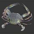 Colorful Glass Crab Sculpture With Vibrant Blue Purple Hues And Open Claws