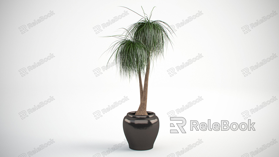 Modern Potted Indoor Palm Tree model