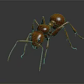 Detailed Brown Ant With Long Antennae On Dark Reflective Background