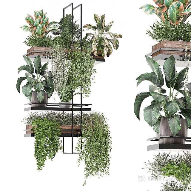 Various Bonsai Potted Plants on Wooden Metal Shelves with Lush Green Leaves and Hanging Vines 3d model 