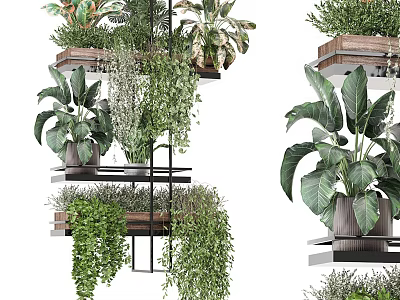 Various Bonsai Potted Plants on Wooden Metal Shelves with Lush Green Leaves and Hanging Vines 3d model