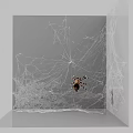 Reptile Lizard Resting On Spider Web In Gray Corner With Intricate Web Patterns 3d model