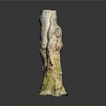 Natural Wood Stone Decorative Piece With Textured Surface And Green Moss Detail
