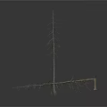 Two Dried Trees One Upright And One Tilted Against White Background