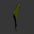 Fresh Green Leaf With Clear Yellow Veins And Glossy Surface On Gray Background