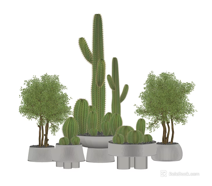 Decorative Bonsai Potted Plants With Cactus And Trees In Various Pots 3d model 