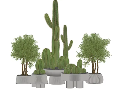 Decorative Bonsai Potted Plants With Cactus And Trees In Various Pots 3d model